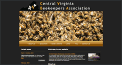 Desktop Screenshot of cvba.avenue.org